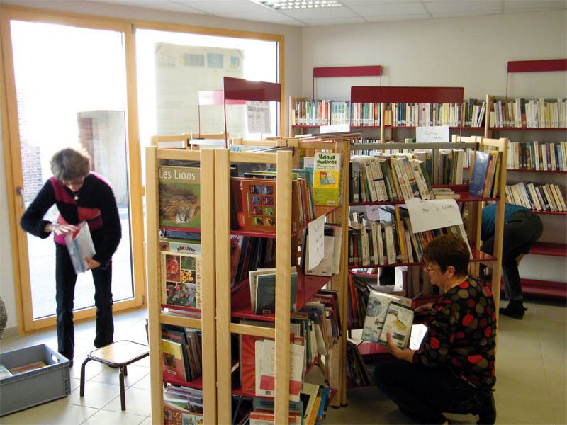 Installation des livres par Mme Chivard de la Médiathèque Départementale de l'Orne et son équipe 